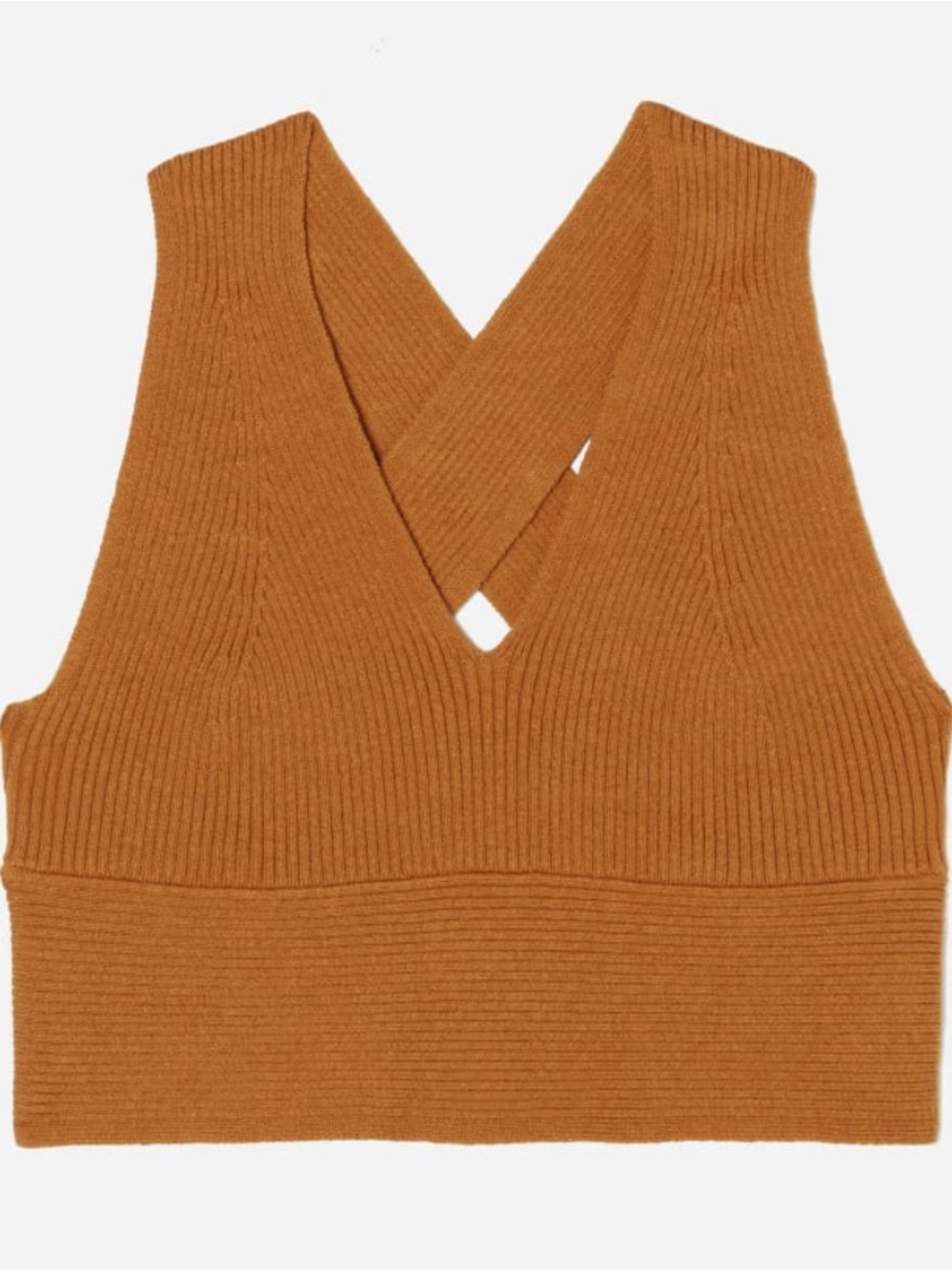Everlane Ribbed Crisscross Knit Crop Top in Burnt Orange